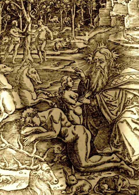 Die Erschaffung Evas — Holzschnitt aus der Lutherbibel (1550)