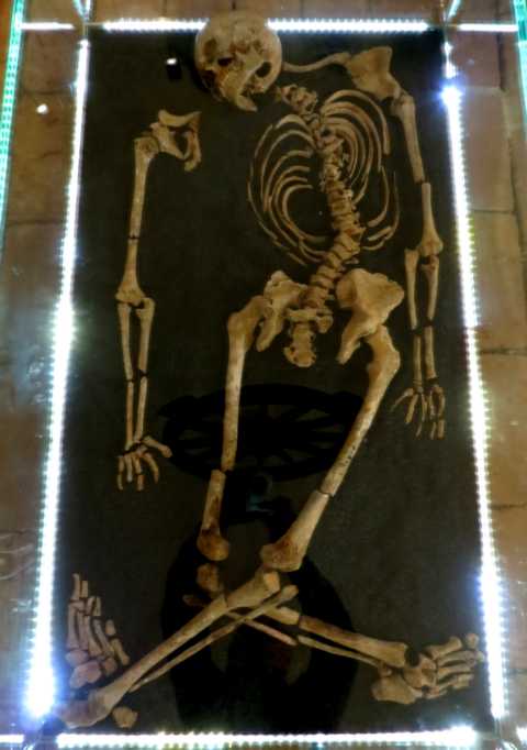Skelett eines Hingerichteten (Hexenmuseum Riegersburg)