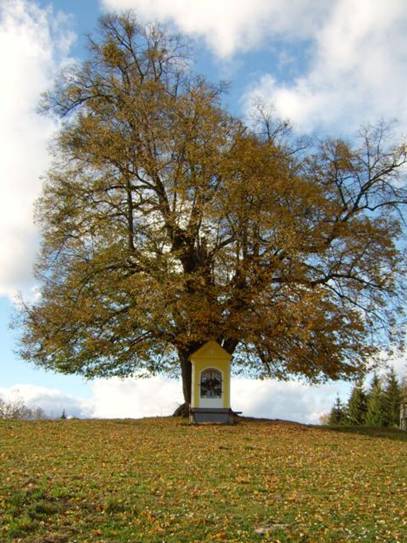 Beschreibung: Beschreibung: C:\Dokumente und Einstellungen\Siegi\Desktop\W10T\links_files\image003.jpg